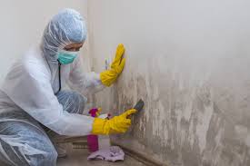 Best Mold Remediation for Healthcare Facilities  in West Simsbury, CT